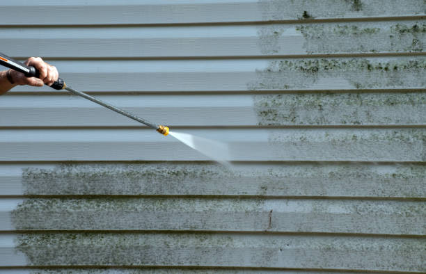 Best Pressure Washing Near Me  in Webster City, IA