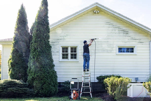 Best Best Pressure Washing Companies  in Webster City, IA