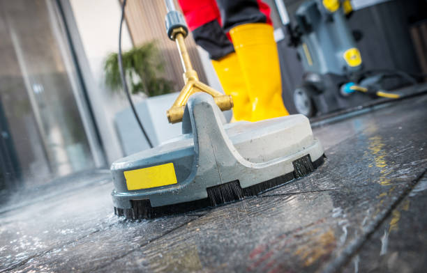 Best Roof Pressure Washing  in Webster City, IA