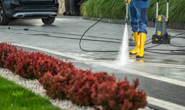 Best Exterior Home Cleaning  in Webster City, IA