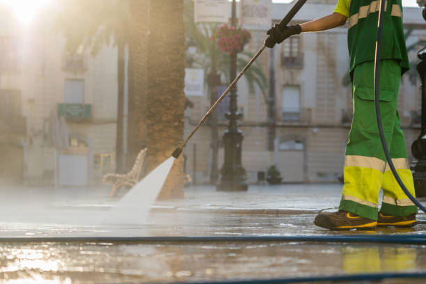 Best Roof Pressure Washing  in Webster City, IA