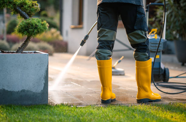 Best Residential Pressure Washing Services  in Webster City, IA